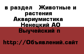  в раздел : Животные и растения » Аквариумистика . Ненецкий АО,Выучейский п.